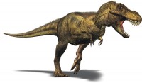 Ποιος ήταν ο Τυραννόσαυρος Ρεξ;